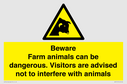 beware-farm-animals-can-be-dangerous-visitors-are-advised-not-to-interfere-with-~